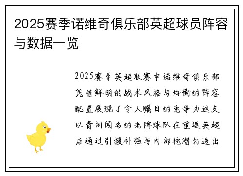 2025赛季诺维奇俱乐部英超球员阵容与数据一览